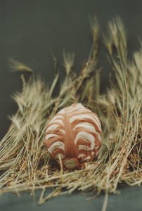 Rode kool, keramiek, H 20 cm