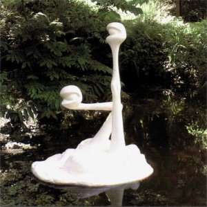 24 maart 2021 - Een nieuwe plek voor Ogen op Steeltjes